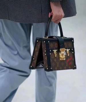 Louis Vuitton petite Malle v bag